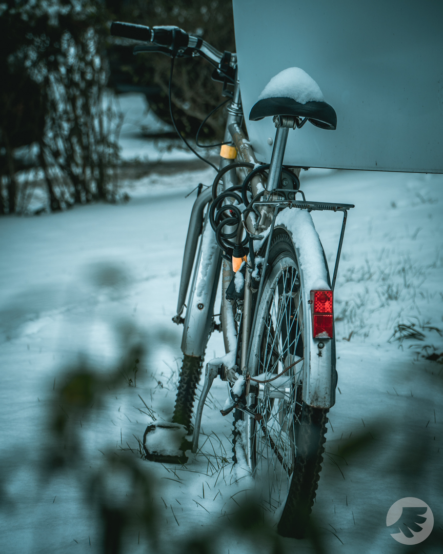 www-20221217141854-DSC00107.webp