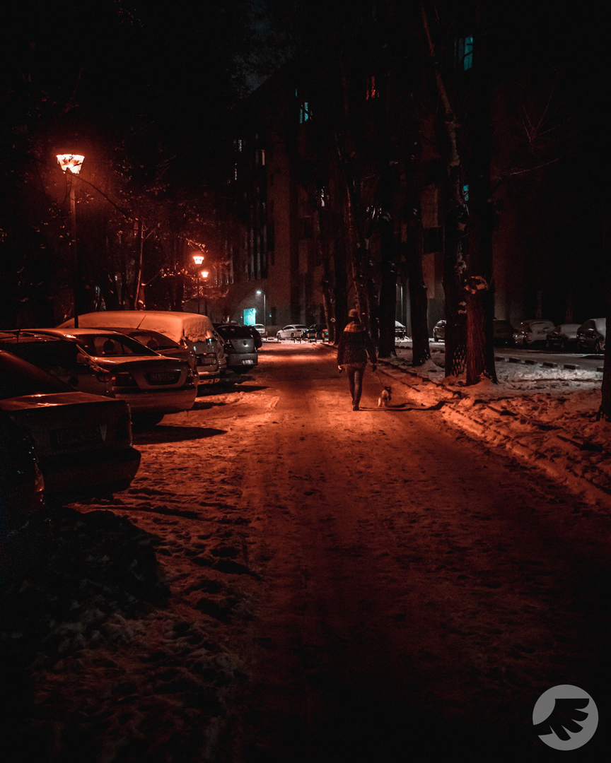 www-20221218233033-DSC00326.webp