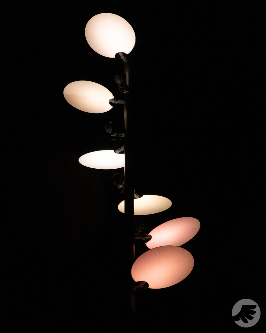 www-20230203172743-DSC07102.webp