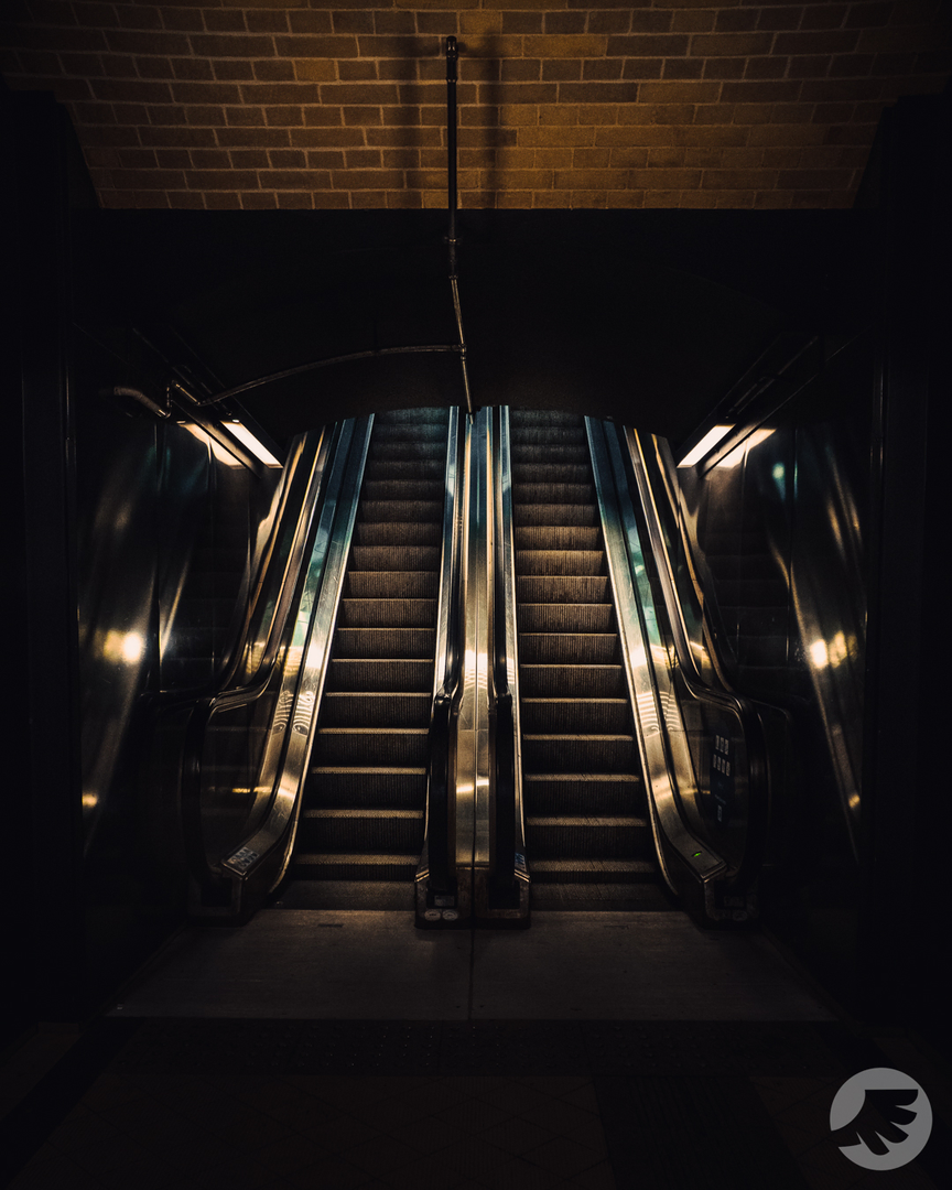 www-20230203174339-DSC07202.webp