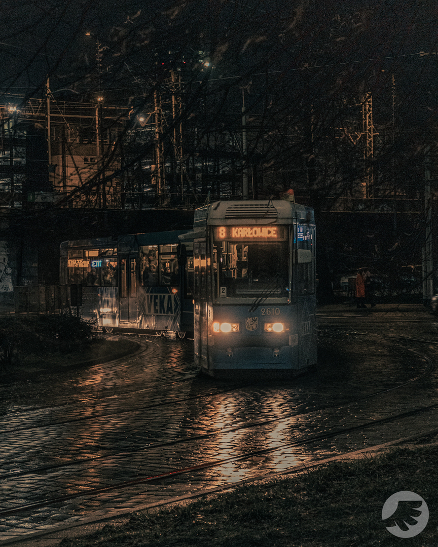 www-20230203175214-DSC07261.webp