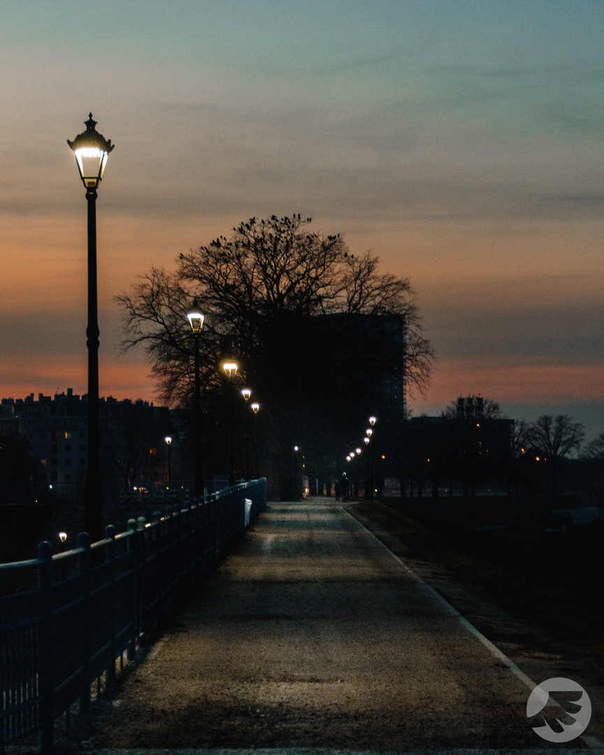 www-20230216173153-DSC08486.webp