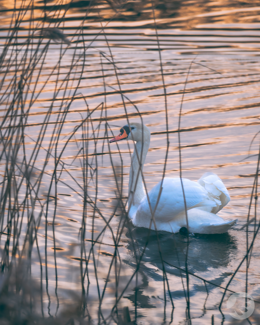 www-20230223165410-DSC09025.webp