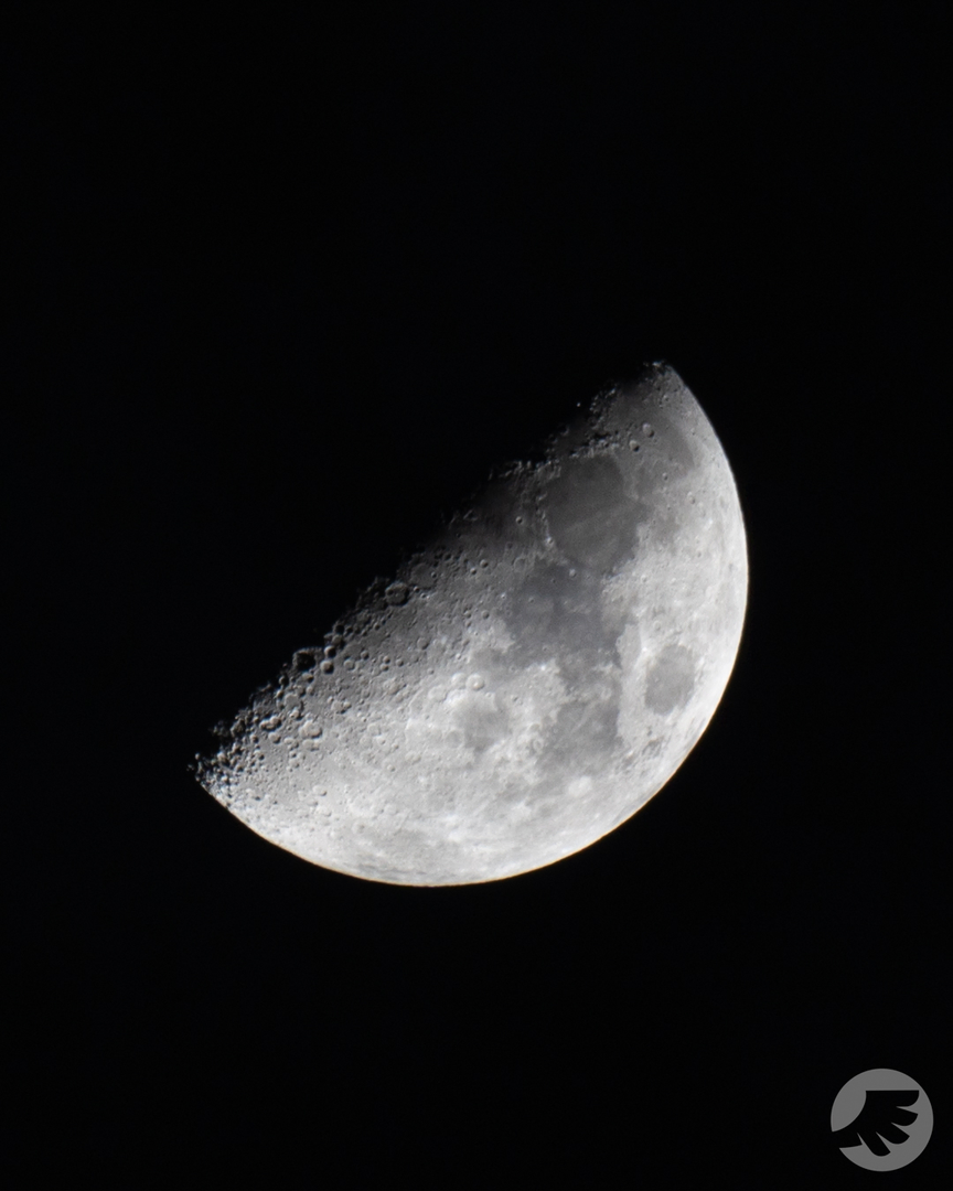 www-20230227215557-DSC09354.webp