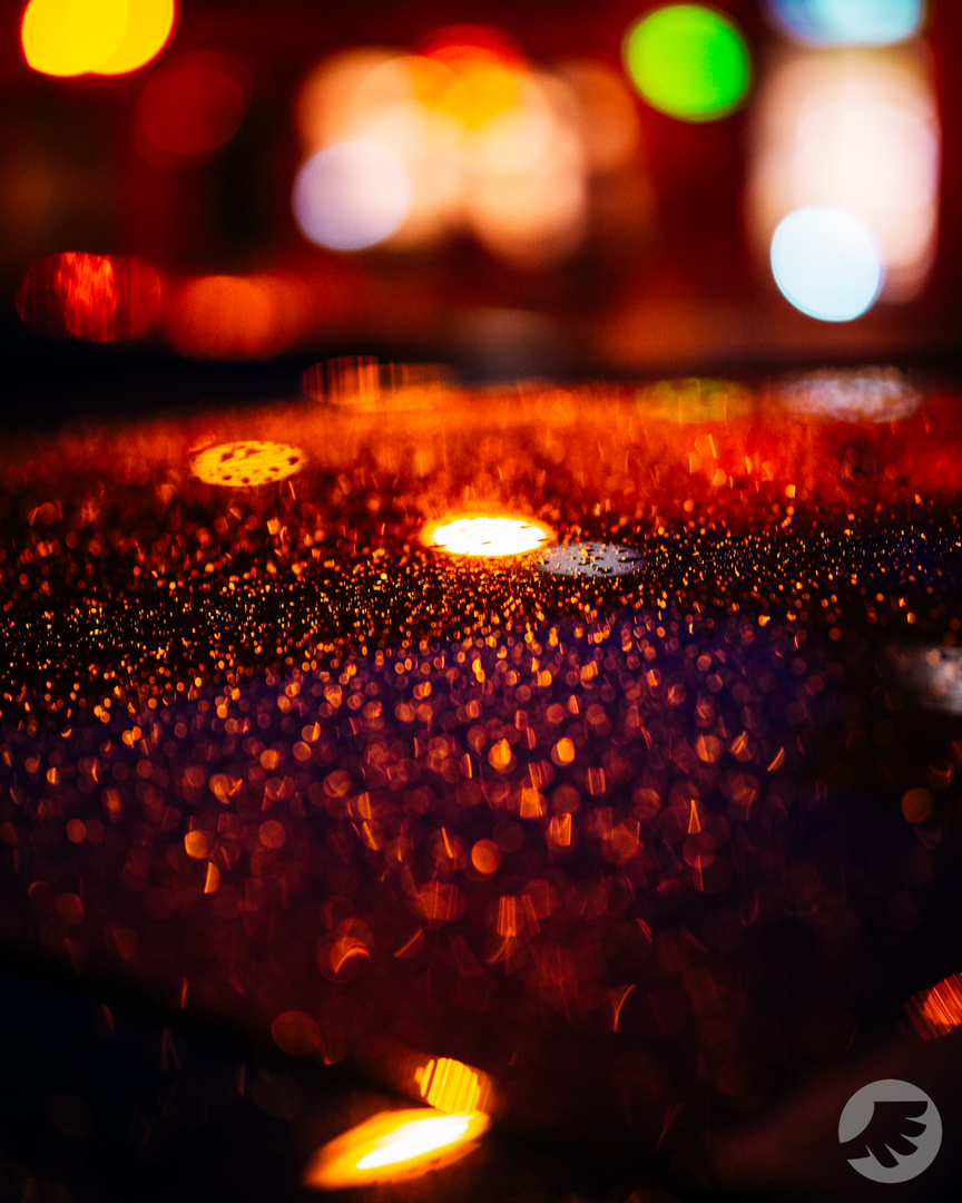 www-20230309181141-DSC00292.webp