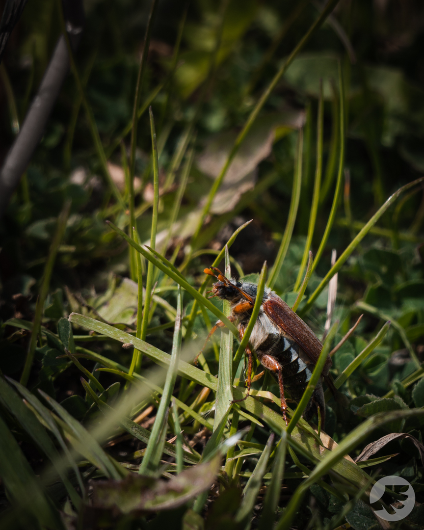 www-20230514103252-DSC03530.webp