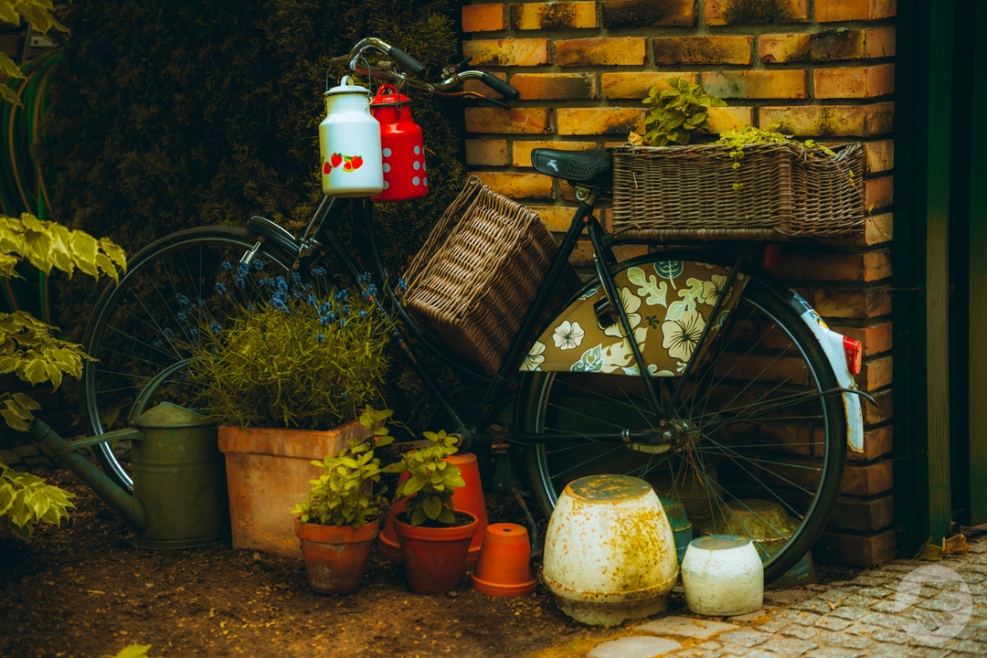 www-20230605124422-DSC07366.webp