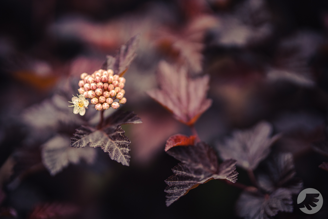 www-20230605124622-DSC07395.webp