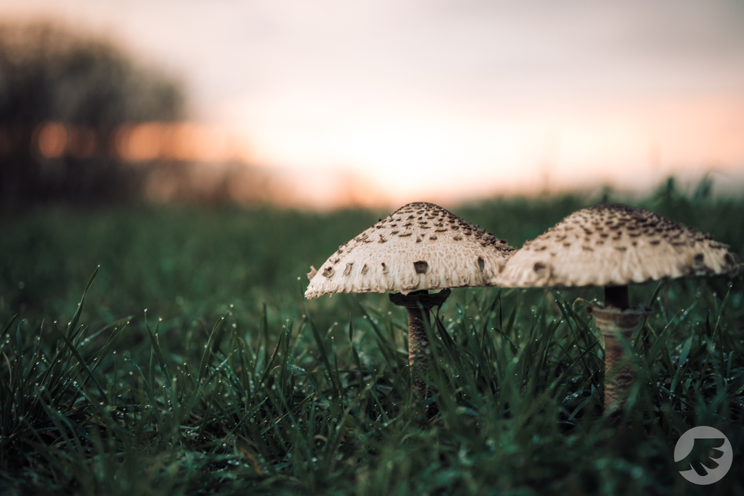 www-20231103160617-DSC07074.webp