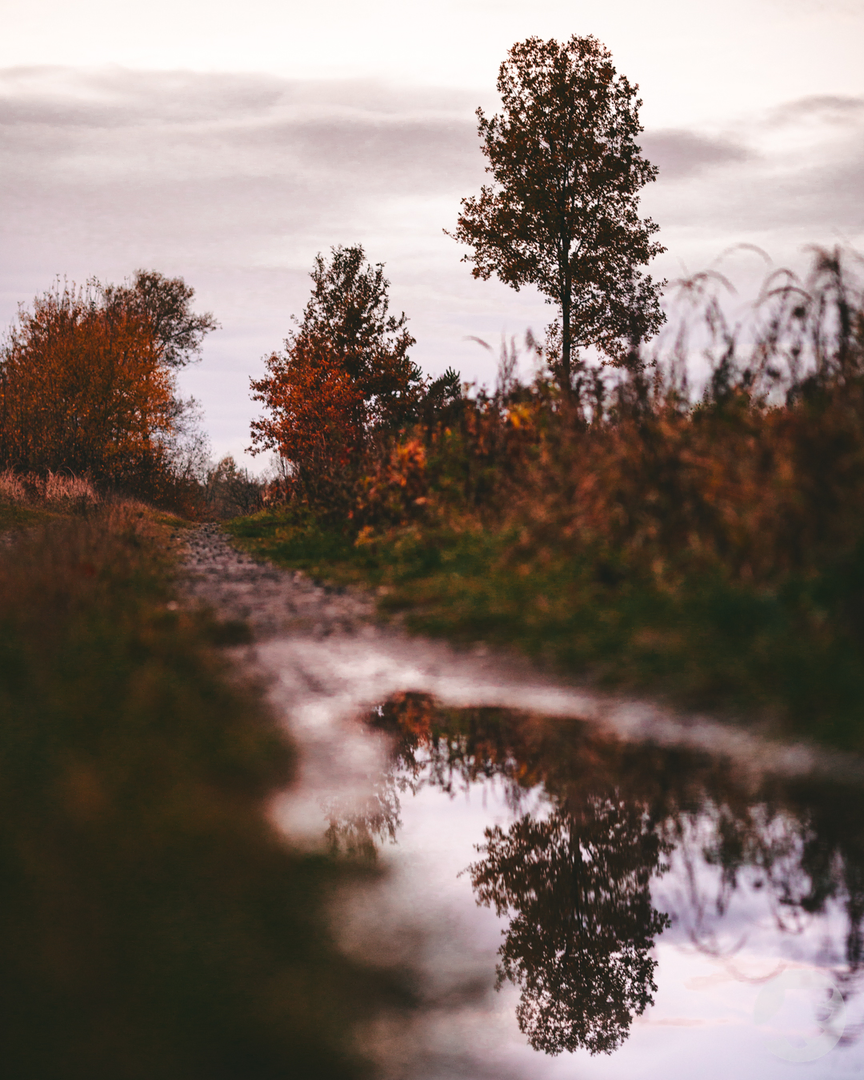 www-20231103161058-DSC07084.webp