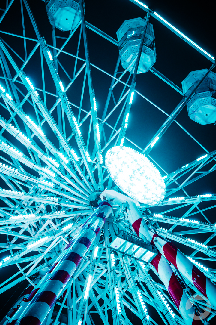 www-20231214172654-DSC08536.webp