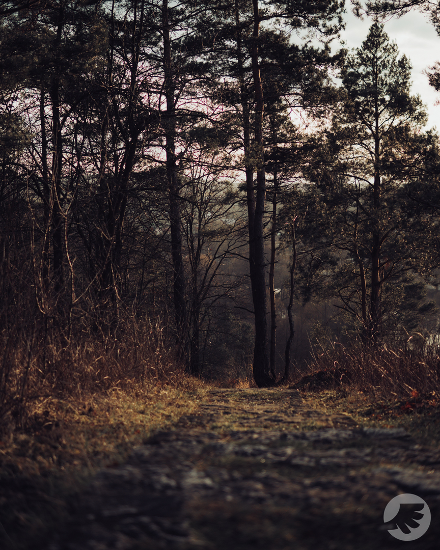 www-20231231143958-DSC08853.webp
