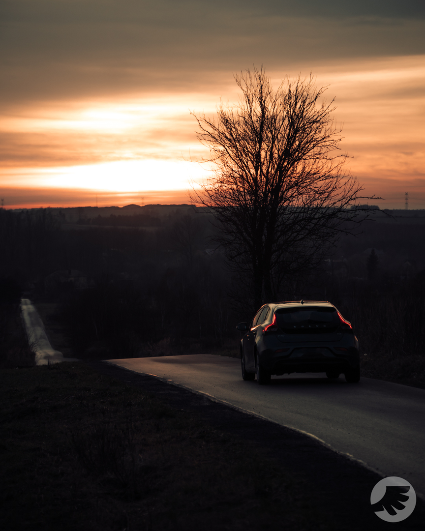www-20231231152632-DSC09009.webp