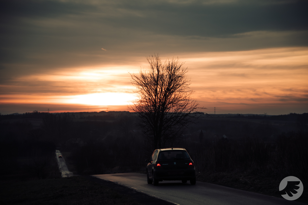 www-20231231152707-DSC09027.webp