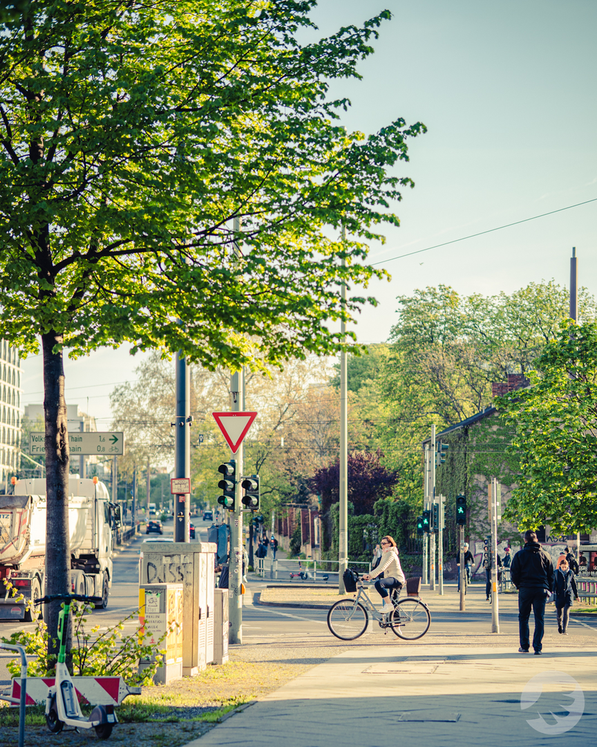 www-20240411071748-DSC01857.webp