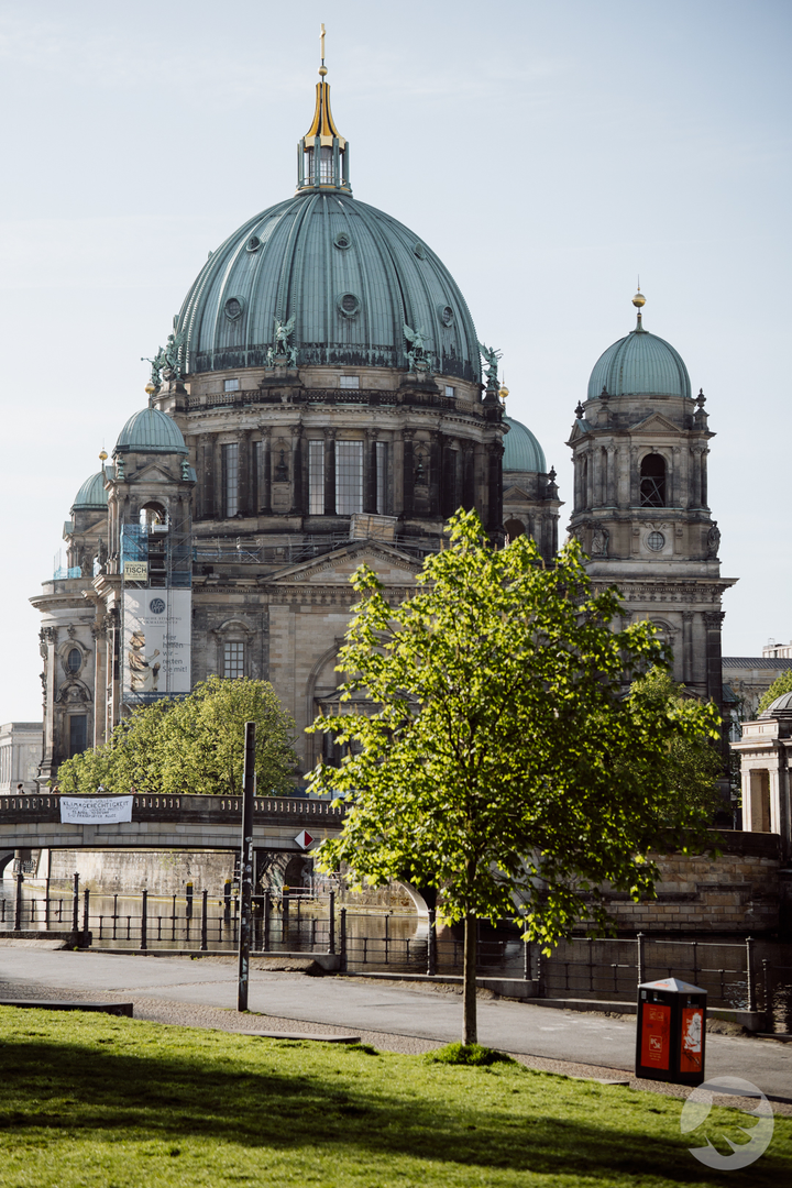 www-20240411080540-DSC01948.webp